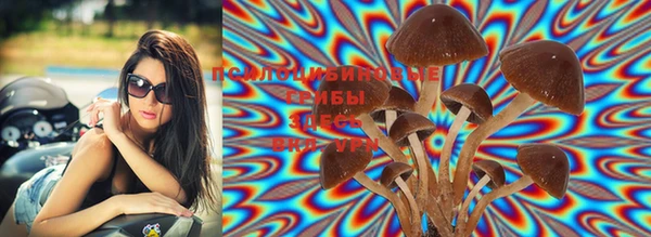 MDMA Мегион