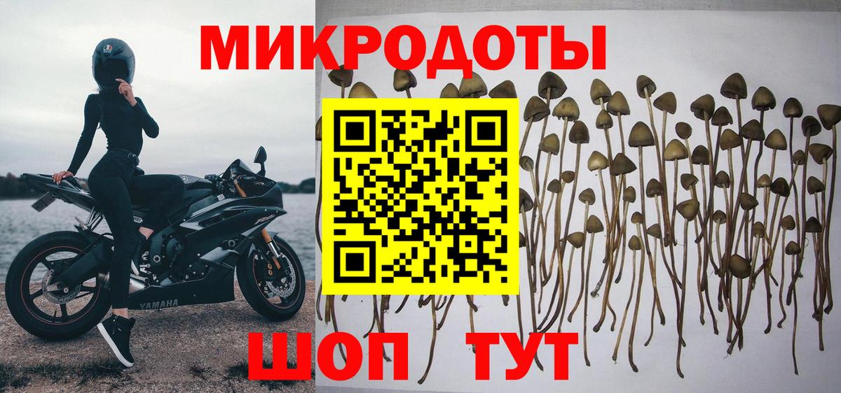 сколько стоит  Псилоцибиновые грибы мицелий  Псилоцибиновые грибы мухоморы  Вход с VPN  Муравленко 